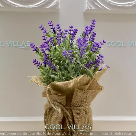 Serenity - Sea, Beach, Golf For 6 Guests Lägenhet Albufeira